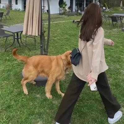 东宫毒