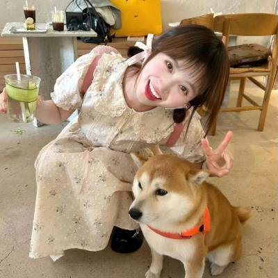 寻找完美情人